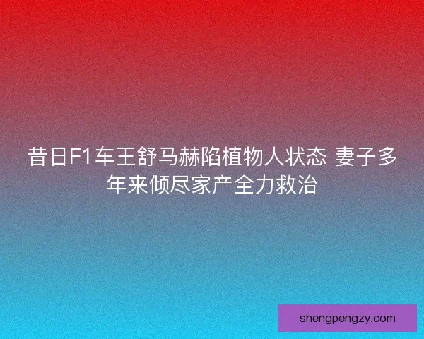 昔日F1车王舒马赫陷植物人状态 妻子多年来倾尽家产全力救治