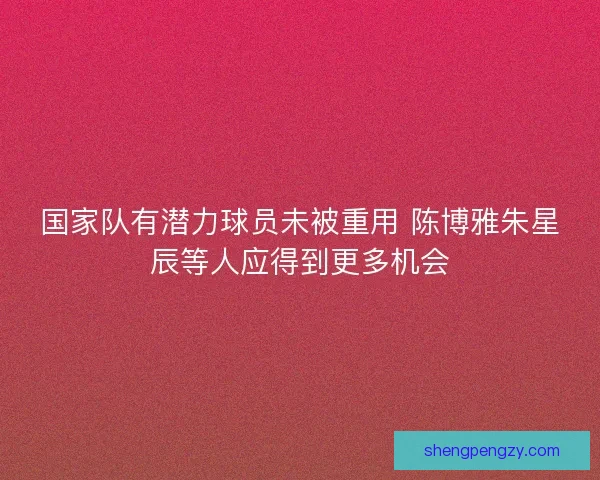 国家队有潜力球员未被重用 陈博雅朱星辰等人应得到更多机会