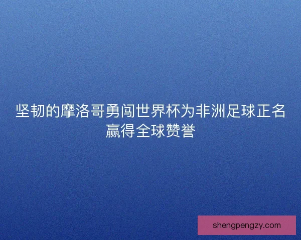 坚韧的摩洛哥勇闯世界杯为非洲足球正名赢得全球赞誉