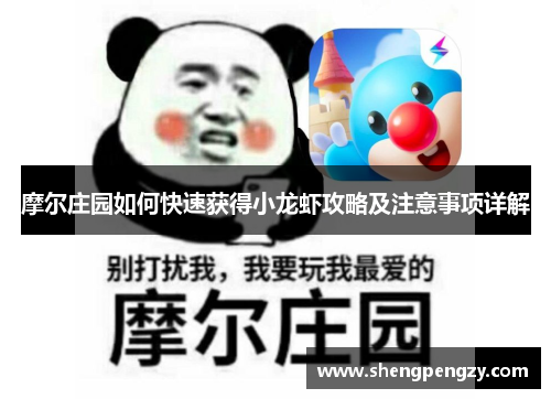 摩尔庄园如何快速获得小龙虾攻略及注意事项详解