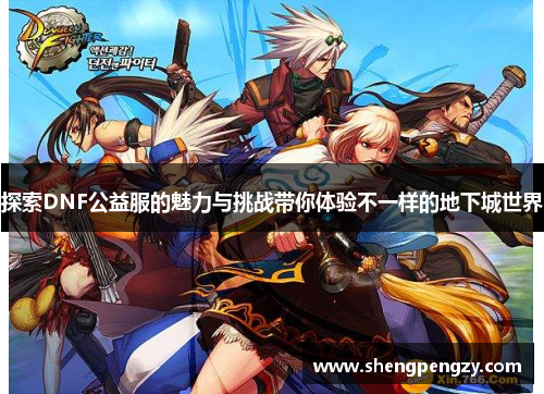 探索DNF公益服的魅力与挑战带你体验不一样的地下城世界